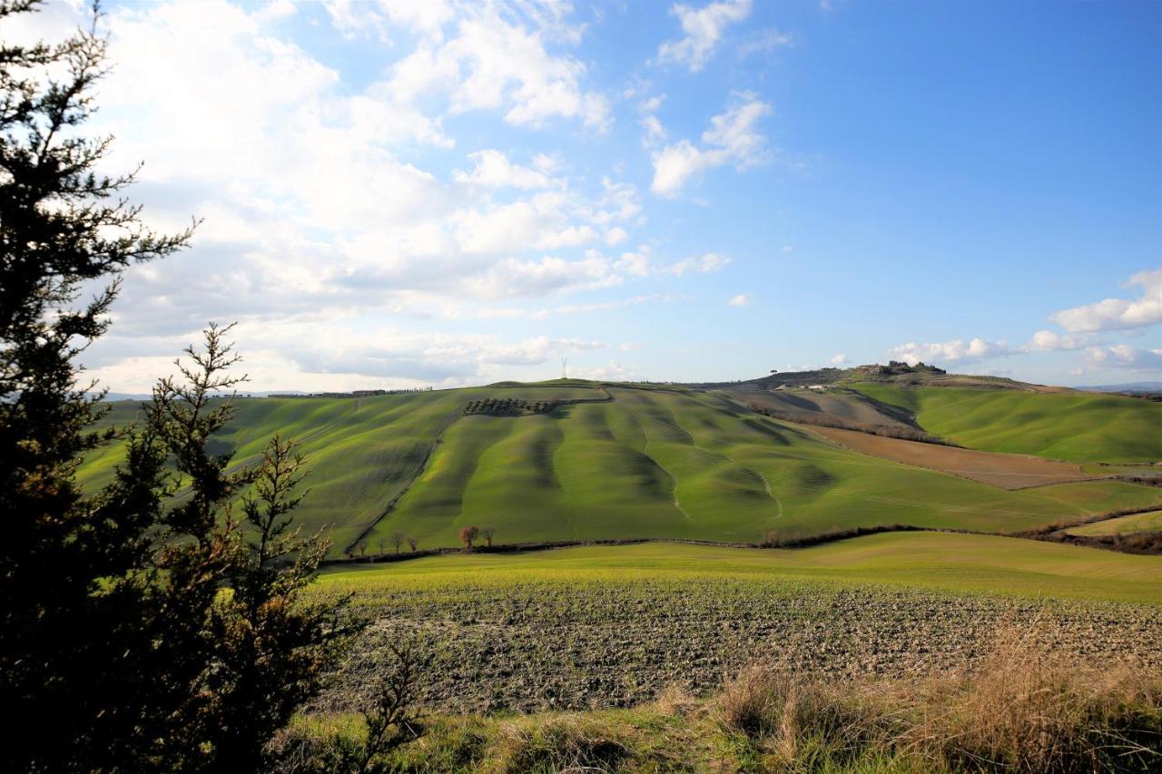 La Locanda Di Montisi B&B Trequanda Kültér fotó