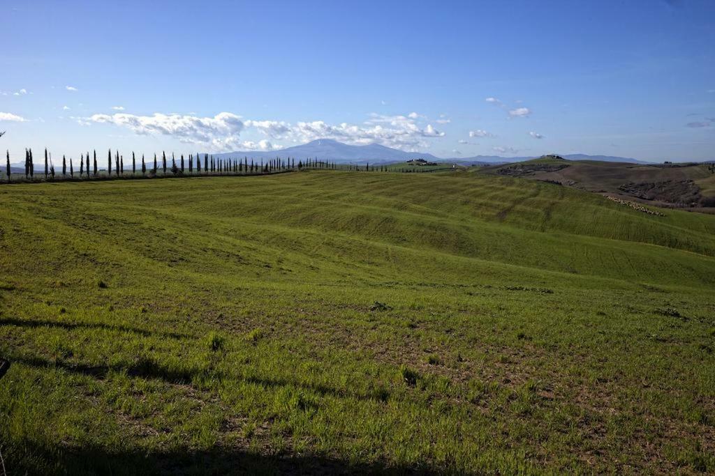 La Locanda Di Montisi B&B Trequanda Kültér fotó